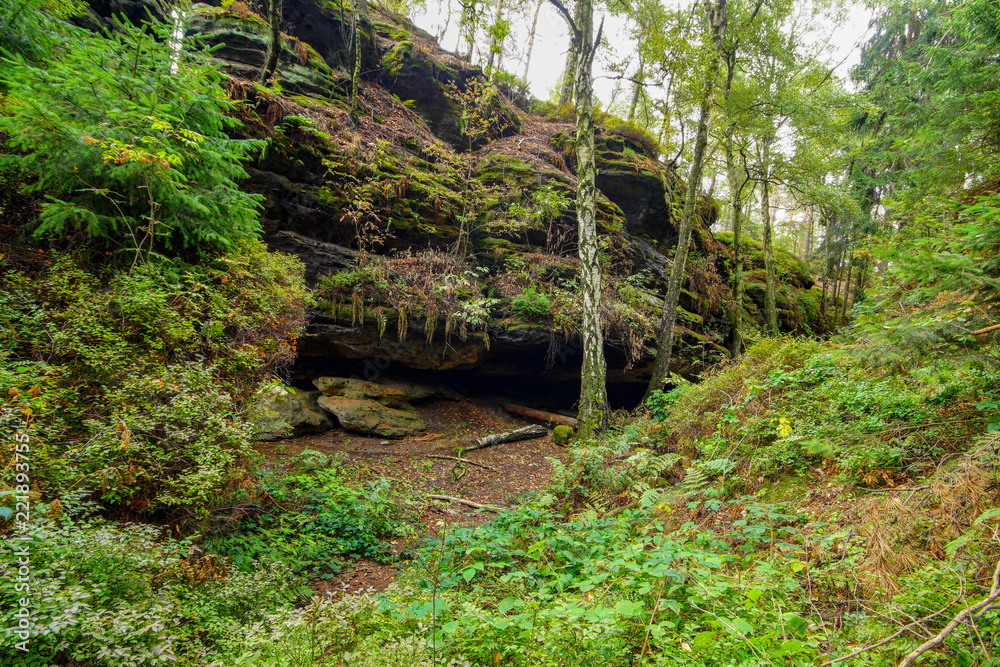 Fototapeta premium Saxon Switzerland, where the rocks speak their own language and the trees grow into the sky as if they were reaching for the stars! Here you can walk in the footsteps of Caspar David Friedrich