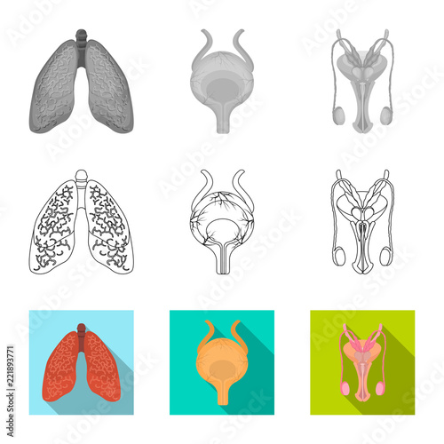 Vector design of body and human symbol. Set of body and medical stock symbol for web.