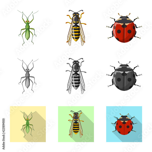 Vector illustration of insect and fly sign. Collection of insect and element stock vector illustration.