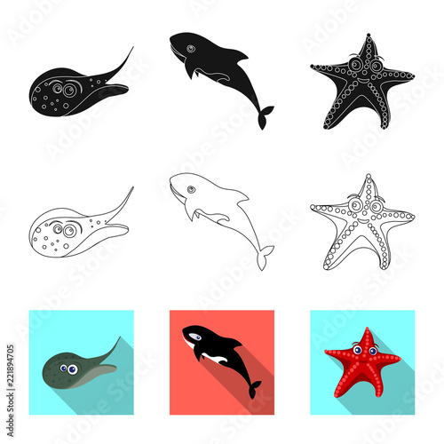 Vector design of sea and animal logo. Collection of sea and marine stock symbol for web.