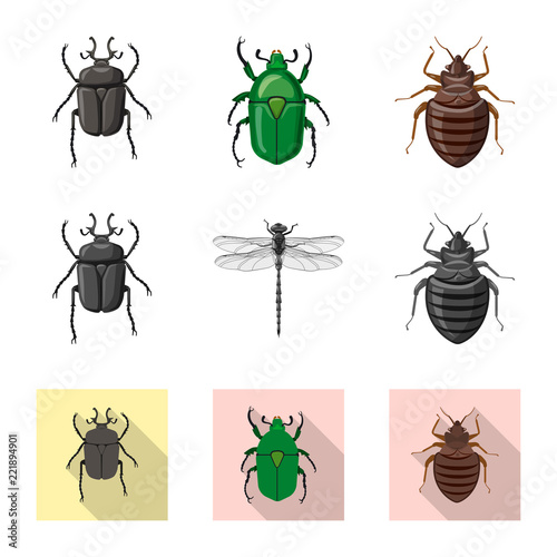 Vector design of insect and fly logo. Set of insect and element stock vector illustration.