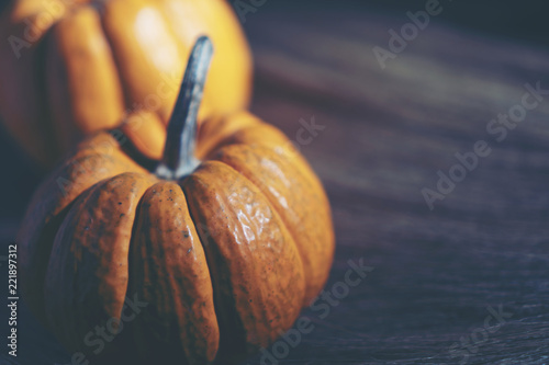 Halloween concept picture w...