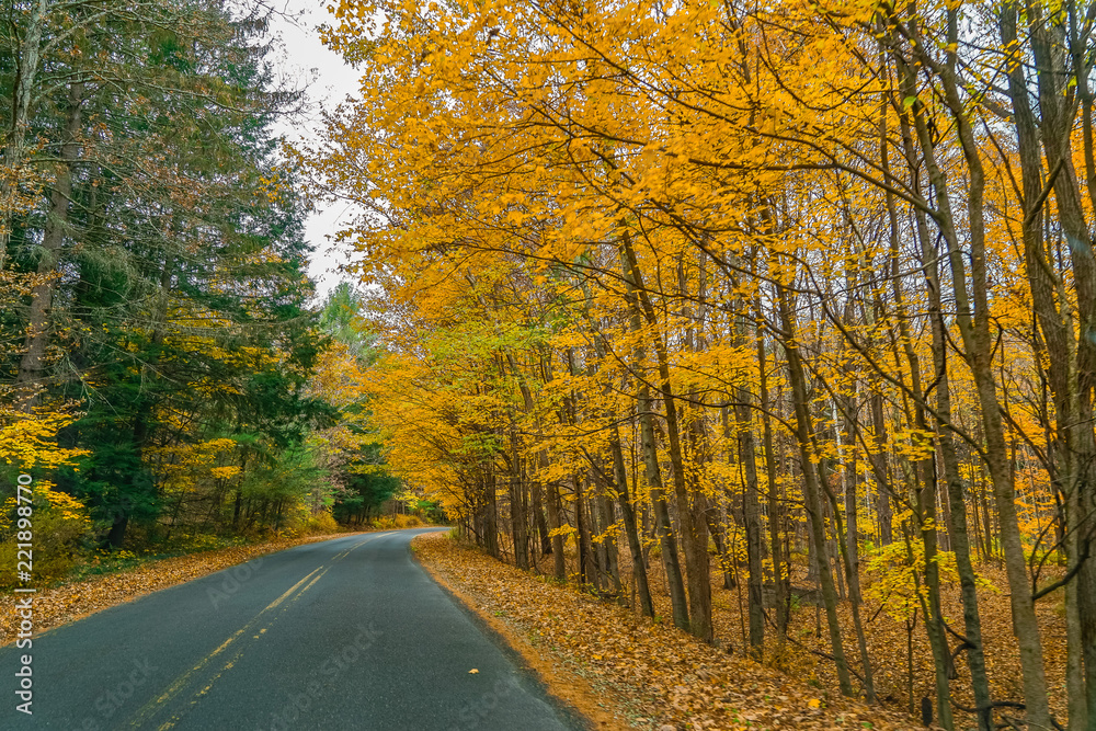 Naklejka premium Autumn Country Road toDingmans Falls waterfall in the Poconos Mountains , Pennsylvania US.