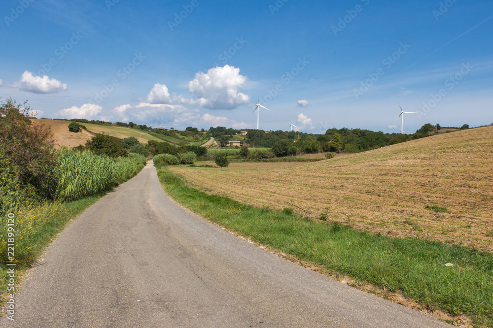 Fototapeta premium strada di campagna