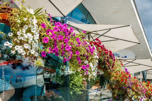 flowers on the wall