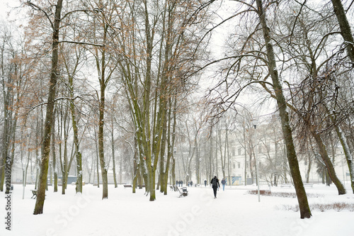 White snowy city park scene in winter. Beautiful winter scenery in Vilnius. © MNStudio