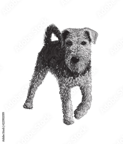 Airedale terrier sketch vector graphics. Black and white line art vector illustration. Hand drawn dog sketch, doodle. Pet image, poster background.Decorative portrait, isolated.