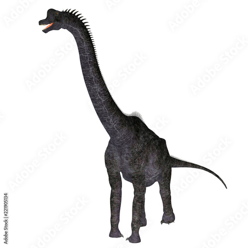 Brachiosaurus Dinosaur on White