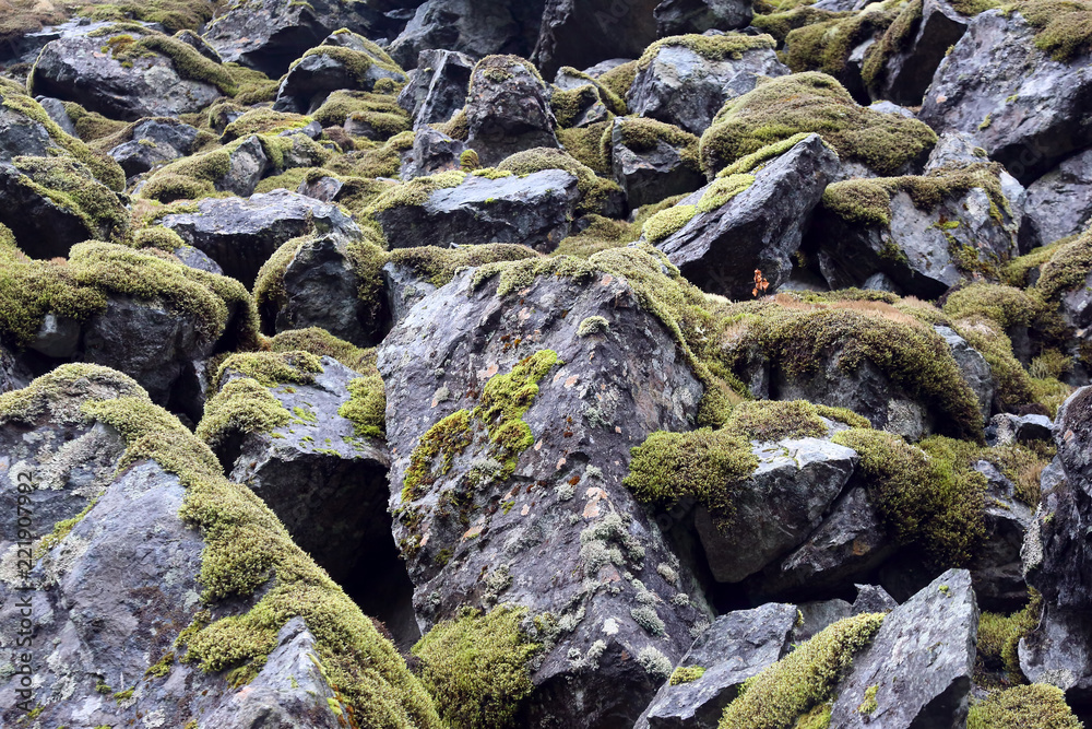 big old rocks and green moss