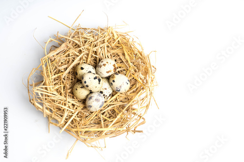 quail eggs in a nest isolated on white background