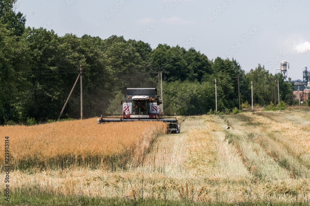 Obraz premium Tractor in a field agriculture in a sunny day