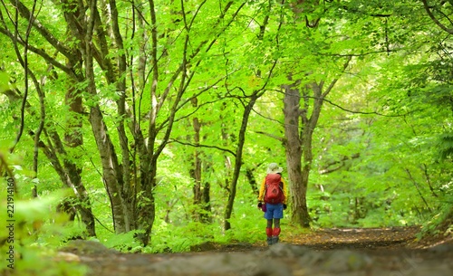 緑の森を歩く女性ハイカー