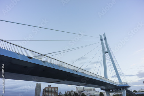 tatsumi sakurabashi bridge over shinonome canal tokyo photo