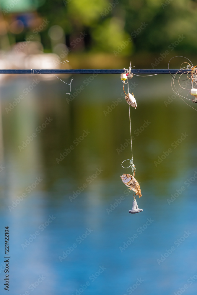 fishing line, hook, weight, bait fish, sand flea tangled in power line  Stock Photo