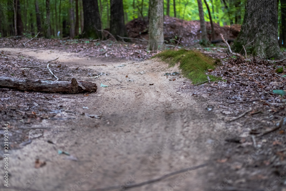 Little Mossy Berm on Mountain Bike Trail Little Mossy Berm on Mountain Bike Trail