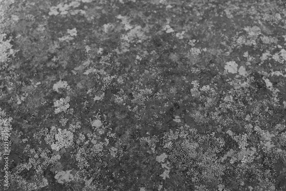 black and white black and white