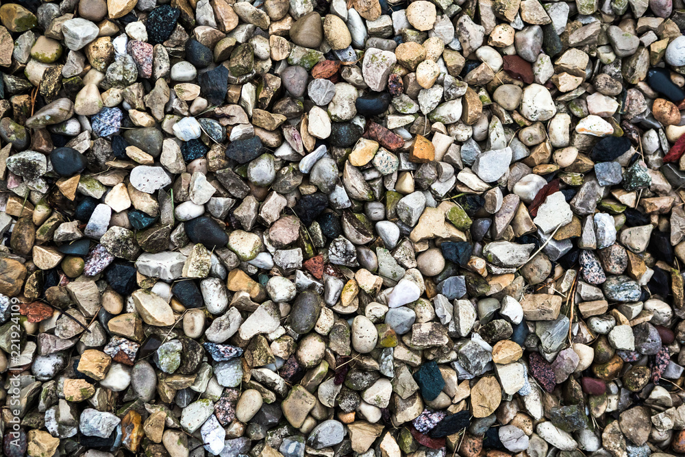 Small Rocks 8 Small Rocks 8