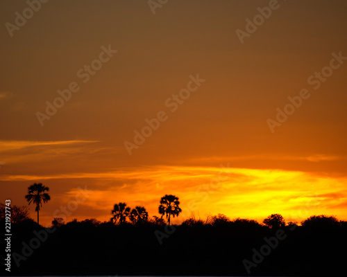 Zambezi Sunset © Andrew