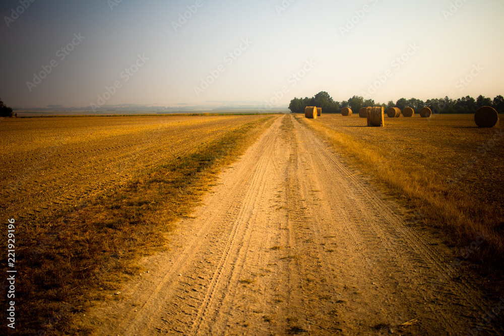 Naklejka premium Petite route de sable rurale étirée vers l'horizon et bordée de balles de foin sur la droite