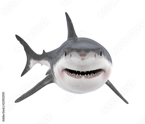 Fotografie, Obraz Great White Shark Isolated