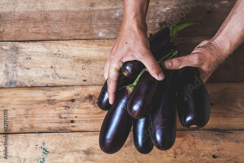 Hands take few eggplants on wooden boards