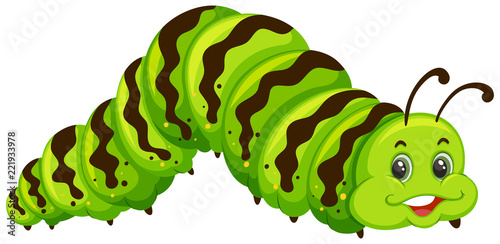Cute green caterpillar cartoon