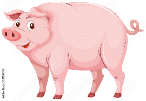 Cute pink pig character