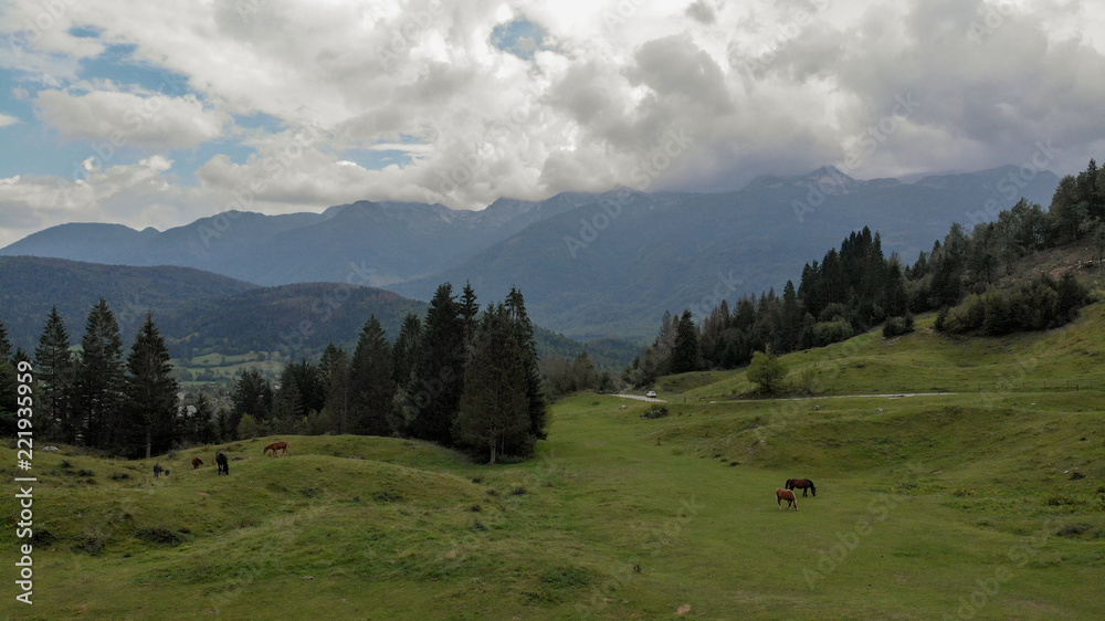 Aerial view of horses on meadow surrounded with mountains - national park Triglav in Slovenia.