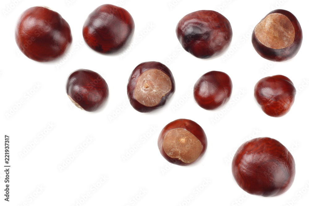 chestnuts isolated on white background. top view chestnuts isolated on white background. top view