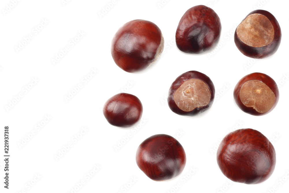 chestnuts isolated on white background. top view chestnuts isolated on white background. top view