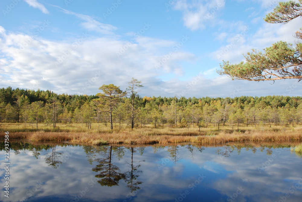 Water mirror in a peat bog, Russia