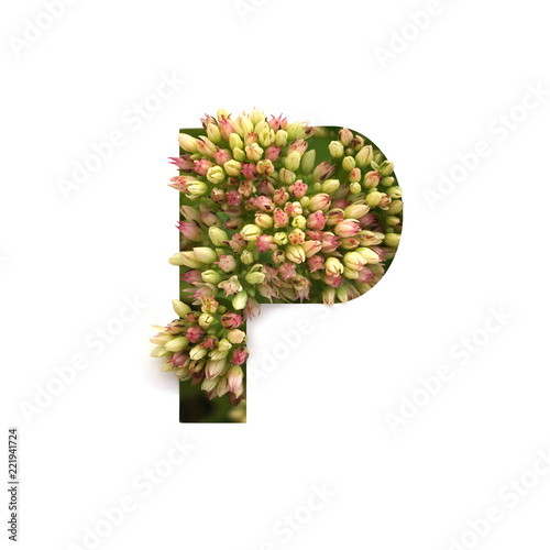 Cut out letter P with growing plant inside. Part of the alphabet.