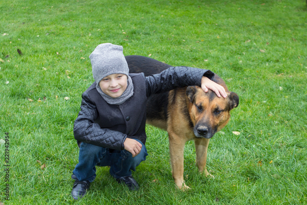 boy with a dog in autumn,The boy on the grass hug a shepherd dog in a gray coat boy with a dog in autumn,The boy on the grass hug a shepherd dog in a gray coat