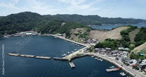 遊子水荷浦の段畑（愛媛県宇和島市）