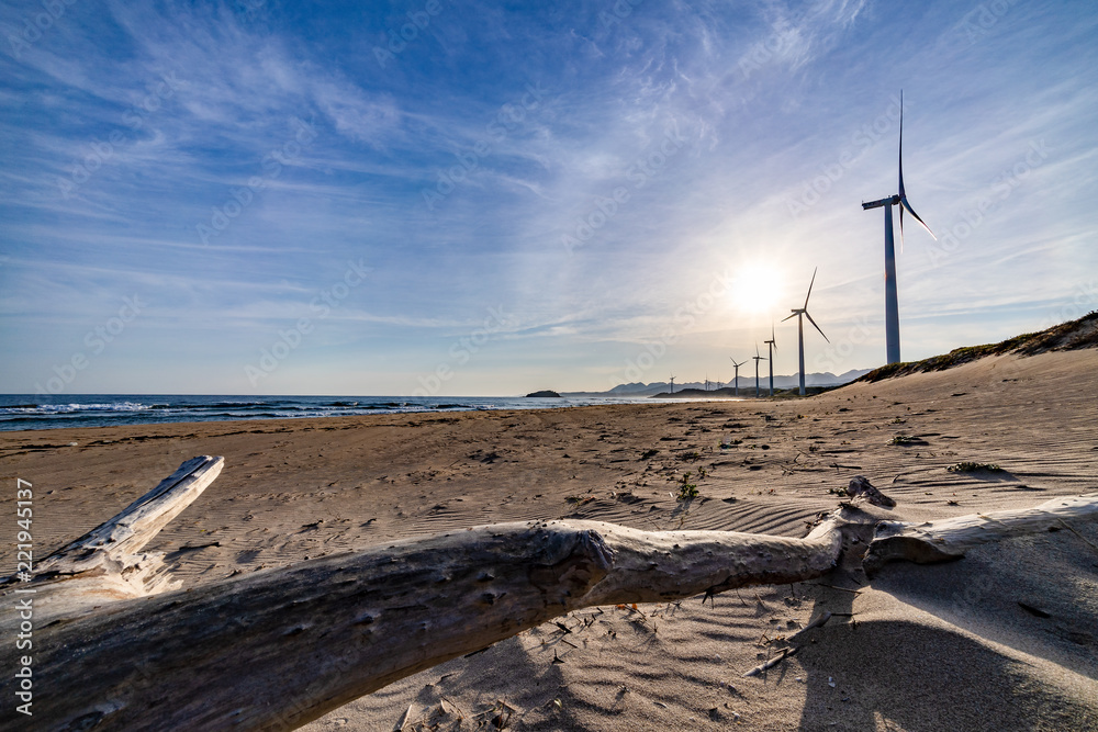 流木とビーチと風力発電