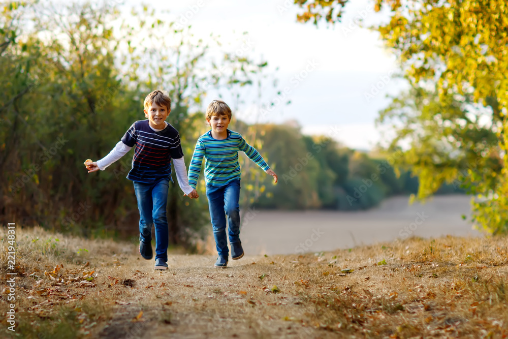Fototapeta premium Two little school kids boys running and jumping in forest. Happy children, best friends and siblings having fun on warm sunny day early autumn. Twins and family, nature and active leisure.