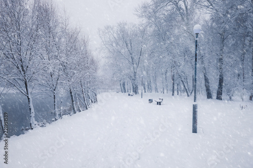 Winter snowy city park alley. Trees covered with snow. Winter season park