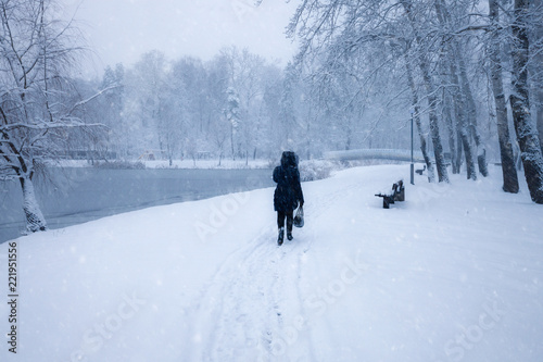 Winter snowy city park alley. Trees covered with snow. Winter season park © Nickolay Khoroshkov