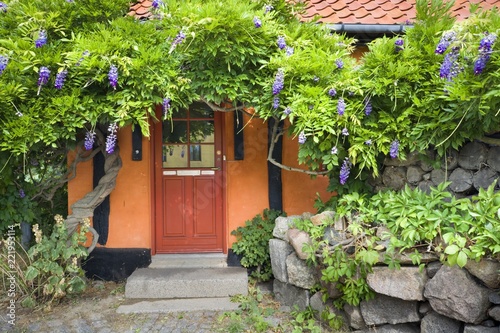 Entrance door of traditiona...