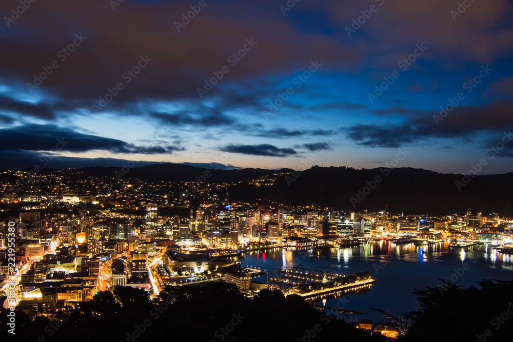 Wellington City CBD Aerial View 