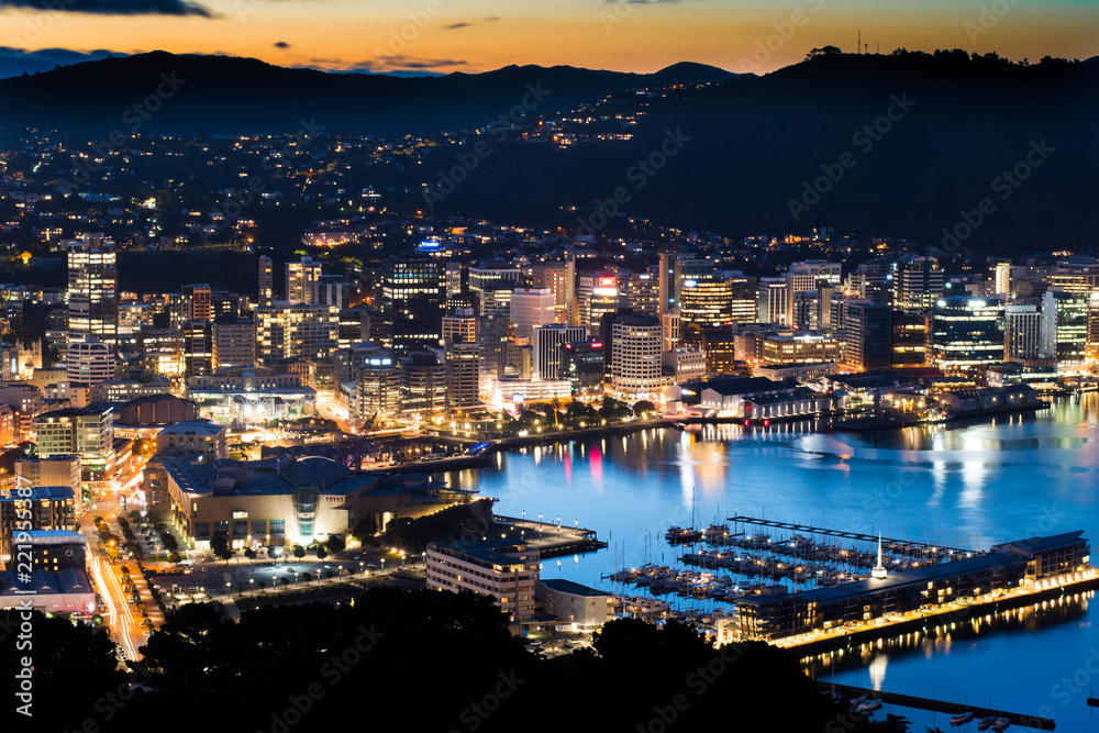 Wellington City CBD Aerial View 