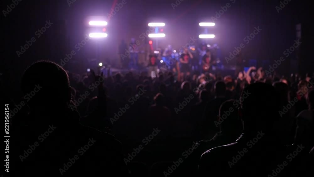 Audience spectators silhouettes listen to music concert in flashing lumiere