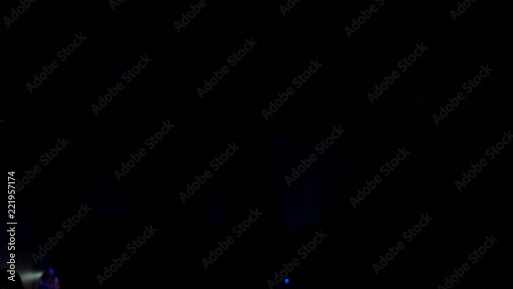 Dancing girl fan silhouettes on concert flashing light cheerful hands in air