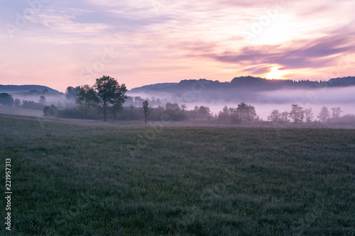French landscape - Jura. View over a flower meadow in the early morning with a light fog.