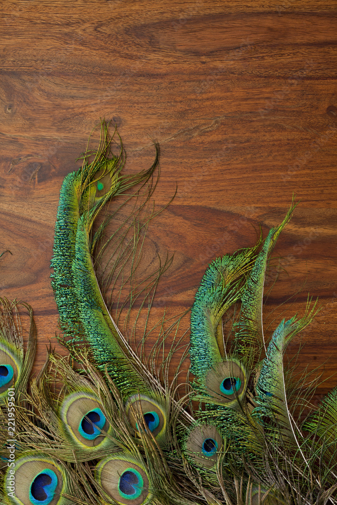 Fototapeta premium peacock feathers background
