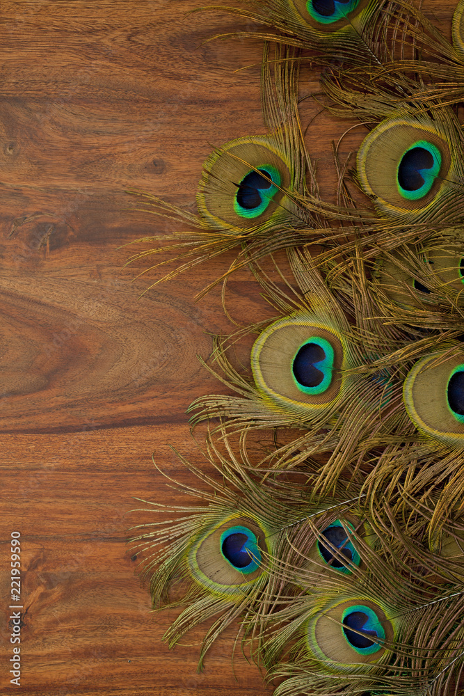 Fototapeta premium peacock feathers background