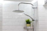 Close-Up shower and plant in bathroom on white tile wall backgrounds, Concept of lifestyle, environment and nature in toilet.