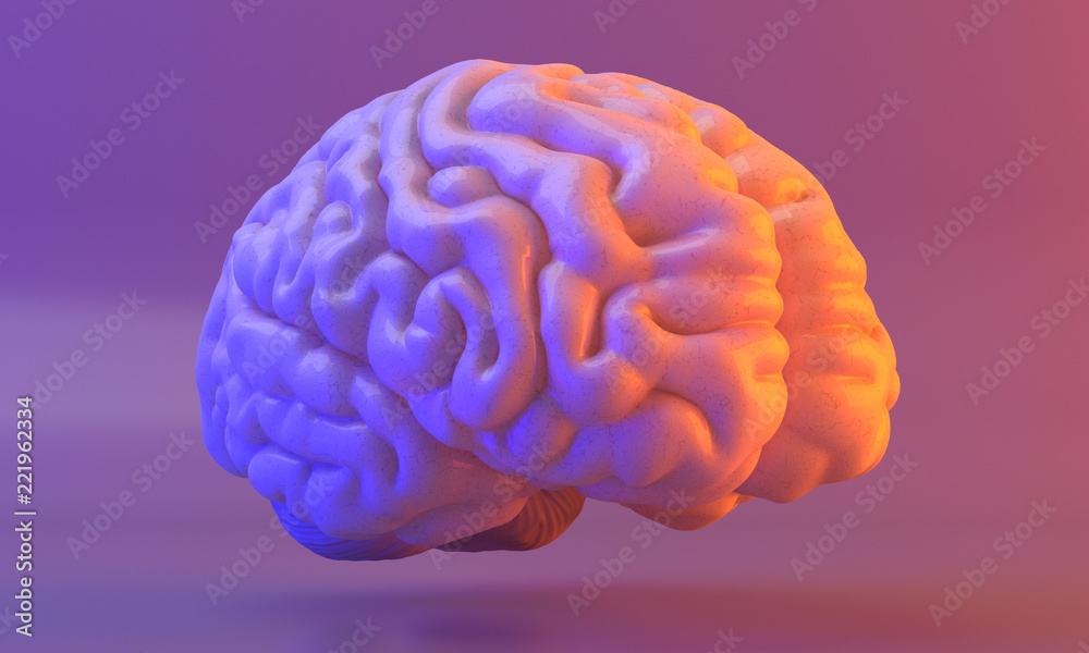 Brain Brain
