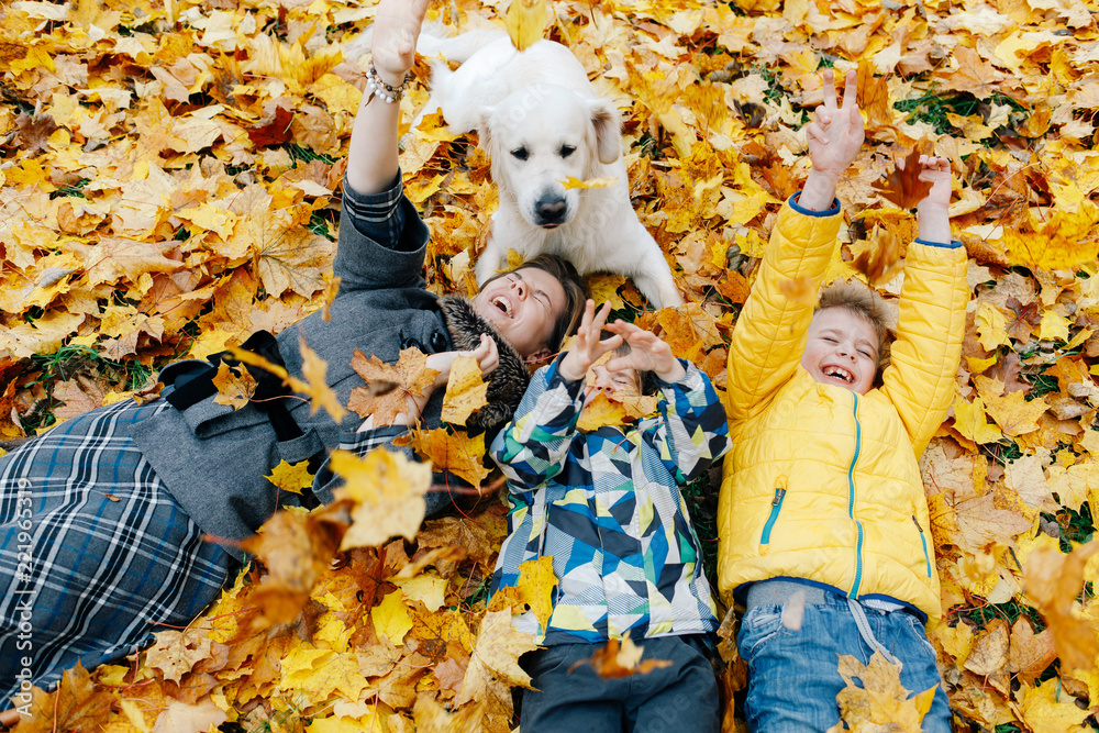Mom and her sons play with a dog in the park in autumn Mom and her sons play with a dog in the park in autumn