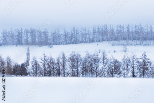 冬の美瑛の丘 / 北海道の観光イメージ
